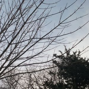 Meet your Posher, Scot